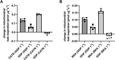 Mitochondrial Respiration-Dependent ANT2-UCP2 Interaction